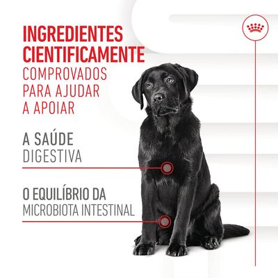 Ingredientes cientificamente comprovados para ajudar a apoiar a saúde digestiva e o equilíbrio da microbiota intestinal. Texto promocional com cão preto sentado.