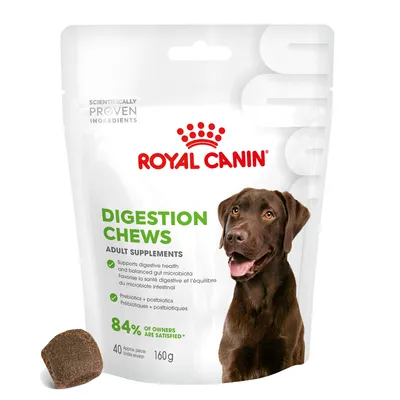 Royal Canin Digestion Chews adult supplements, supports digestive health and balanced gut microbiota, prebiotics and postbiotics, 84% of owners are satisfied, 40 pieces, 160g.