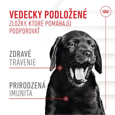 Vedecky podložené zložky, ktoré pomáhajú podporovať zdravé trávenie a prirodzenú imunitu. Text v slovenčine.