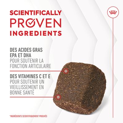 Texte en anglais : Scientifically Proven Ingredients. Des acides gras EPA et DHA pour soutenir la fonction articulaire, des vitamines C et E pour un vieillissement en bonne santé.