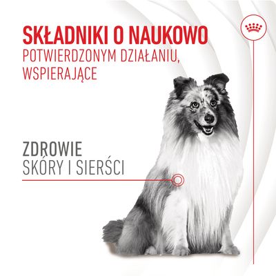 Składniki o naukowo potwierdzonym działaniu, wspierające zdrowie skóry i sierści. Zdrowie skóry i sierści.