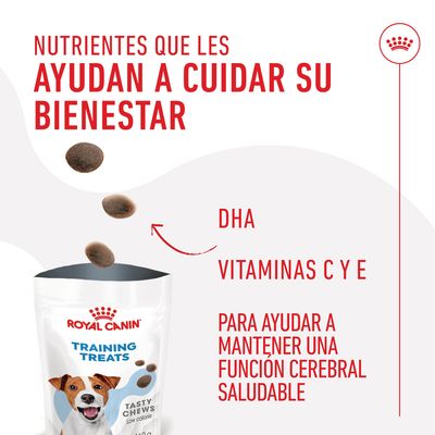 ROYAL CANIN Training Treats. Nutrientes que les ayudan a cuidar su bienestar: DHA, vitaminas C y E para ayudar a mantener una función cerebral saludable. Tasty Chews low calorie.