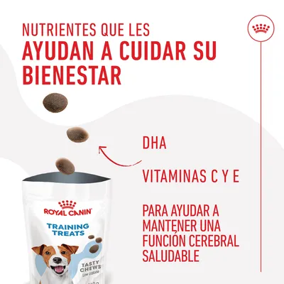 ROYAL CANIN Training Treats. Nutrientes que les ayudan a cuidar su bienestar: DHA, vitaminas C y E para ayudar a mantener una función cerebral saludable. Tasty Chews low calorie.