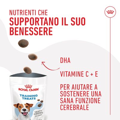 Royal Canin Training Treats. Testo: Nutrienti che supportano il suo benessere. DHA, vitamine C + E per aiutare a sostenere una sana funzione cerebrale.