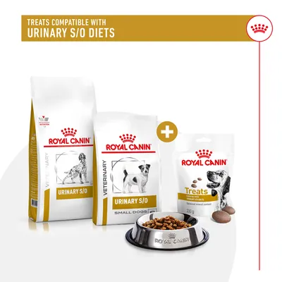Royal Canin Urinary S/O diet food bags and treats shown with a bowl of kibble. Text states: Treats compatible with urinary S/O diets.