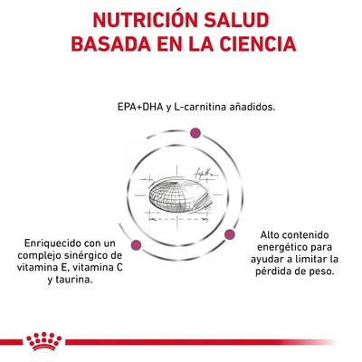 NUTRICIÓN SALUD BASADA EN LA CIENCIA. EPA+DHA y L-carnitina añadidos. Enriquecido con vitamina E, vitamina C y taurina. Alto contenido energético para limitar la pérdida de peso.