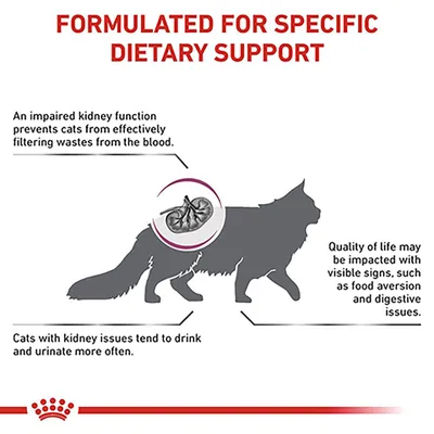 Text på engelska: Formulated for specific dietary support. Information om njurproblem hos katter och relaterade symtom, med siluett av katt och illustration av njure.