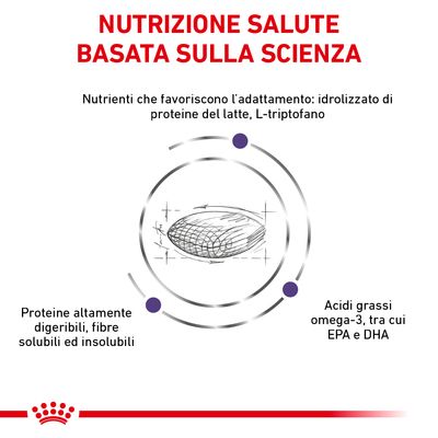 Nutrizione salute basata sulla scienza. Nutrienti che favoriscono l'adattamento: idrolizzato di proteine del latte, L-triptofano, proteine altamente digeribili, fibre, omega-3 EPA e DHA.