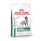 Royal Canin Veterinary Canine Diabetic 7 kg