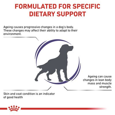 Formulated for specific dietary support. Ageing affects a dog's ability to adapt, lean body mass, muscle strength, and skin and coat condition as an indicator of good health.