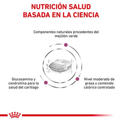 NUTRICIÓN SALUD BASADA EN LA CIENCIA. Componentes naturales del mejillón verde, glucosamina y condroitina para el cartílago, nivel moderado de grasa y contenido calórico controlado.
