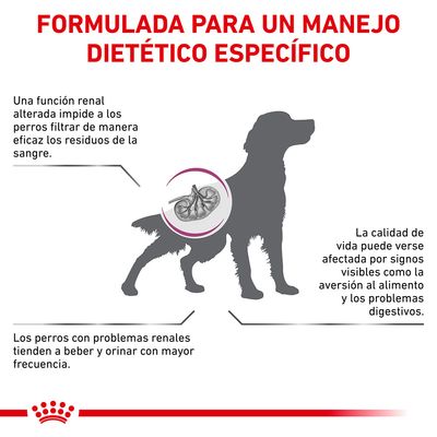 Formulada para un manejo dietético específico. Una función renal alterada impide filtrar residuos. Perros con problemas renales beben y orinan más. Calidad de vida afectada por aversión alimentaria.