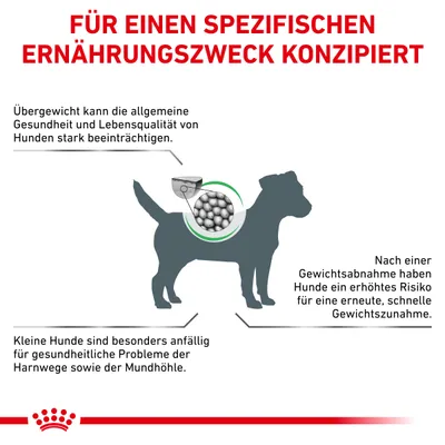 Texte en allemand : Für einen spezifischen Ernährungszweck konzipiert. Informations sur la santé des chiens en surpoids et les risques après perte de poids. Schéma d’un chien avec croquettes.