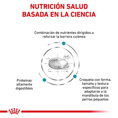 NUTRICIÓN SALUD BASADA EN LA CIENCIA. Combinación de nutrientes para reforzar la barrera cutánea, proteínas altamente digestibles y croqueta adaptada a perros pequeños.