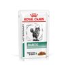 Royal Canin Diabetic Feline Veterinary umido gatto 12 x 85 g
