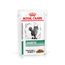 Royal Canin Diabetic Feline Veterinary umido gatto 12 x 85 g
