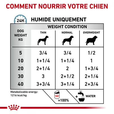 Tableau d’alimentation humide pour chien : poids 5–40 kg, quantités selon condition (maigre, normale, surpoids). Exemple : 10 kg normal = 1+1/4. Énergie 1216 kcal/kg. Eau à ajouter.