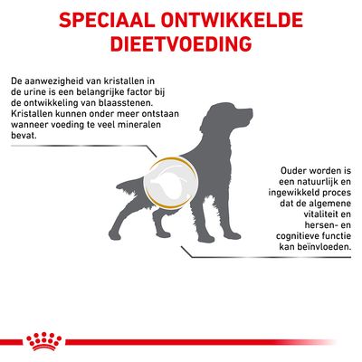 Speciaal ontwikkelde dieetvoeding. Kristallen in urine kunnen blaasstenen veroorzaken, vaak door te veel mineralen. Ouder worden beïnvloedt vitaliteit en cognitieve functie bij honden.