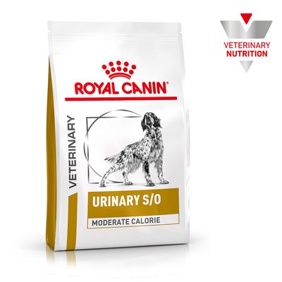 Pachet Royal Canin Veterinary Urinary S/O Moderate Calorie pentru câini, text vizibil: VETERINARY, URINARY S/O, MODERATE CALORIE, imagine câine, siglă VETERINARY NUTRITION.