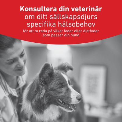 Royal Canin Veterinary Canine Glycobalance