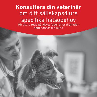 Royal Canin Veterinary Canine Glycobalance Mousse