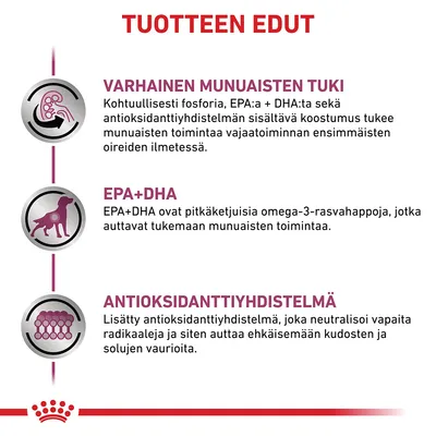 TUOTTEEN EDUT: varhainen munuaisten tuki, EPA+DHA tukemaan munuaisten toimintaa, antioksidanttiyhdistelmä ehkäisemään kudosten ja solujen vaurioita. Kaikki teksti suomeksi.