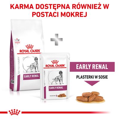 Royal Canin Early Renal karma sucha i mokra dla psa, plasterki w sosie. Tekst: KARMA DOSTĘPNA RÓWNIEŻ W POSTACI MOKREJ, EARLY RENAL, PLASTERKI W SOSIE.