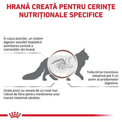Hrană creată pentru cerințe nutriționale specifice. Sistem digestiv sensibil la pisici, tulburări de tranzit intestinal, necesar crescut de fibre pentru menținerea sănătății digestive.