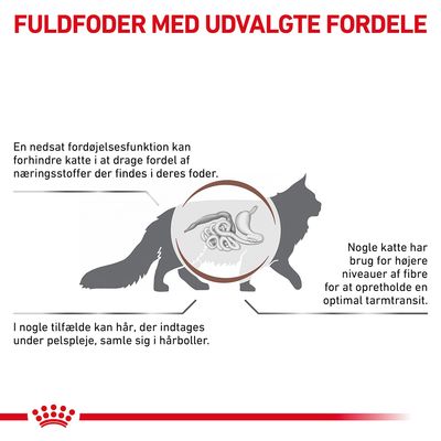 FULDFODER MED UDVALGTE FORDELE. En nedsat fordøjelsesfunktion kan forhindre katte i at drage fordel af næringsstoffer. Nogle katte har brug for flere fibre for optimal tarmtransit. Hårboller nævnes.