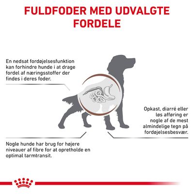 FULDFODER MED UDVALGTE FORDELE. En nedsat fordøjelsesfunktion kan forhindre hunde i at drage fordel af næringsstoffer. Opkast, diarré eller løs afføring er tegn på fordøjelsesbesvær. Højere fibre kan hjælpe.