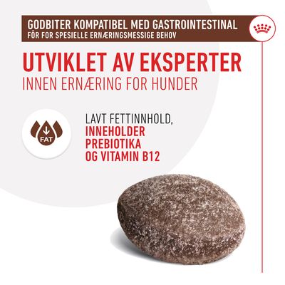 Royal Canin Gastrointestinal Snacks