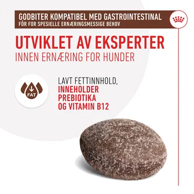 Royal Canin Gastrointestinal Snacks