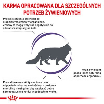 Karma opracowana dla szczególnych potrzeb żywieniowych kotów starszych. Informacje o zmianach w organizmie, spadku odporności i znaczeniu odpowiedniej diety dla seniorów.