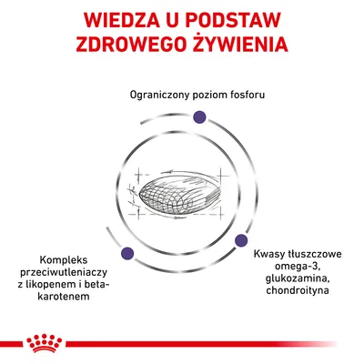 Wiedza u podstaw zdrowego żywienia: ograniczony poziom fosforu, kompleks przeciwutleniaczy z likopenem i beta-karotenem, kwasy tłuszczowe omega-3, glukozamina, chondroityna.