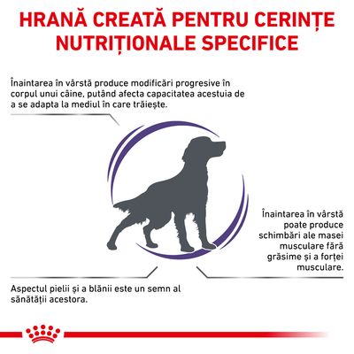 HRANĂ CREATĂ PENTRU CERINȚE NUTRIȚIONALE SPECIFICE. Informații despre modificările produse de înaintarea în vârstă la câini: adaptare, masă musculară, aspectul pielii și blănii.