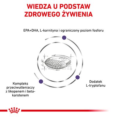 Wiedza u podstaw zdrowego żywienia. EPA+DHA, L-karnityna, ograniczony poziom fosforu, kompleks przeciwutleniaczy z likopenem i beta-karotenem, dodatek L-tryptofanu.