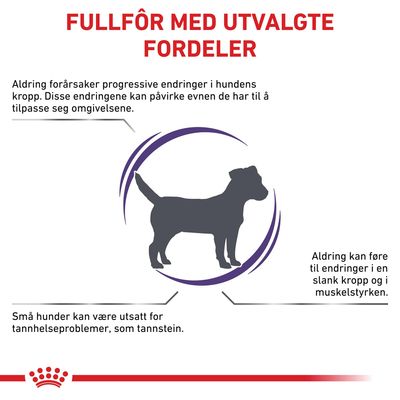 Royal Canin Expert Canine Mature Consult Small Dog