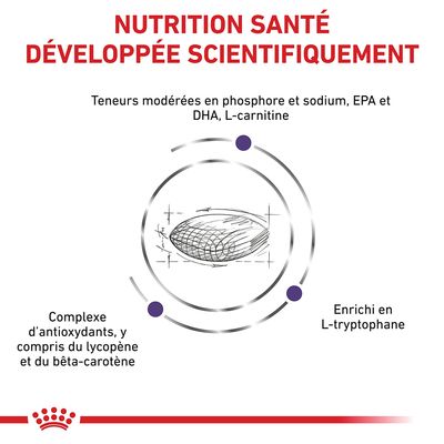 NUTRITION SANTÉ DÉVELOPPÉE SCIENTIFIQUEMENT. Teneurs modérées en phosphore et sodium, EPA et DHA, L-carnitine. Complexe d’antioxydants, lycopène, bêta-carotène. Enrichi en L-tryptophane.
