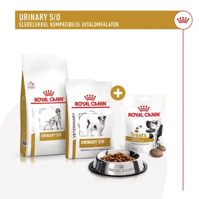Royal Canin Urinary S/O kutyatáp és jutalomfalat csomag: két különböző méretű tápzacskó, egy 230 g-os Treats jutalomfalat, fém etetőtálban táp látható.