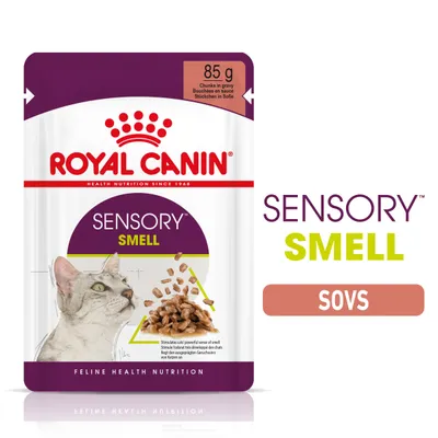 ROYAL CANIN SENSORY SMELL kattefoder i sovs, 85 g. Tekst: Chunks in gravy, SENSORY SMELL, FELINE HEALTH NUTRITION. Billede af kat og foderstykker. ROYAL CANIN SENSORY SMELL kattefoder i sovs, 85 g. Tekst: Chunks in gravy, SENSORY SMELL, FELINE HEALTH NUTRITION. Billede af kat og foderstykker.