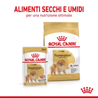 ROYAL CANIN ADULT Pomeranian, alimenti secchi e umidi per cani, confezione da 85 g e sacco grande. Testo visibile: ALIMENTI SECCHI E UMIDI per una nutrizione ottimale.
