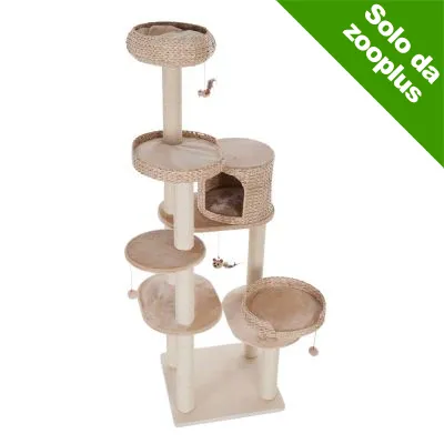 Tiragraffi beige con più piattaforme, cuccia chiusa e giochi pendenti. Angolo verde in alto a destra con testo: Solo da zooplus. Tiragraffi beige con più piattaforme, cuccia chiusa e giochi pendenti. Angolo verde in alto a destra con testo: Solo da zooplus.