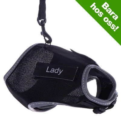 Svart sele med grå kant, texten 'Lady' synlig på etikett. Grön hörnmarkering med vit text: Bara hos oss! Svart sele med grå kant, texten 'Lady' synlig på etikett. Grön hörnmarkering med vit text: Bara hos oss!