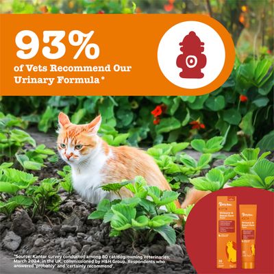 93% dintre medicii veterinari recomandă formula noastră Urinary. Imagine cu o pisică în grădină și ambalajul produsului Urinary & Renal Care Paste.