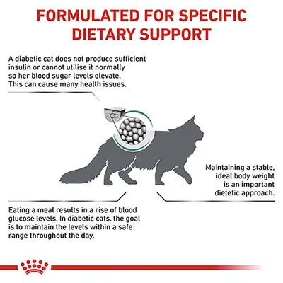 Formulated for specific dietary support. Information om diabetes hos katt, blodsockernivåer och vikthantering. Text på engelska.