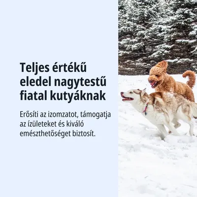 Teljes értékű eledel fiatal, nagytestű kutyáknak. Erősíti az izomzatot, támogatja az ízületeket, és kiváló emészthetőséget biztosít.