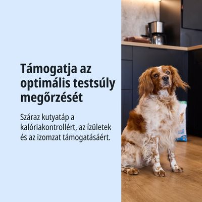 Száraz kutyatáp a kalóriakontroll, az ízületek és az izmok támogatására. Segít az optimális testsúly fenntartásában.