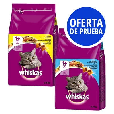 Dos sacos de pienso Whiskas 1+ años para gatos, sabores pollo y atún, 3,8 kg cada uno. Texto visible: OFERTA DE PRUEBA en círculo azul. Dos sacos de pienso Whiskas 1+ años para gatos, sabores pollo y atún, 3,8 kg cada uno. Texto visible: OFERTA DE PRUEBA en círculo azul.