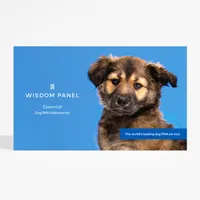 Wisdom Panel™ Essential Dog DNA Test - 1 Test