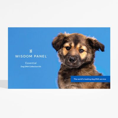 Wisdom Panel™ Essential Dog DNA Test 1 Test